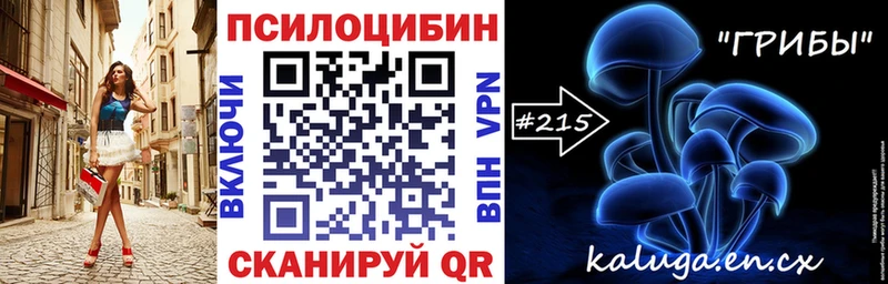 Псилоцибиновые грибы Psilocybe  купить закладку  Буйнакск 